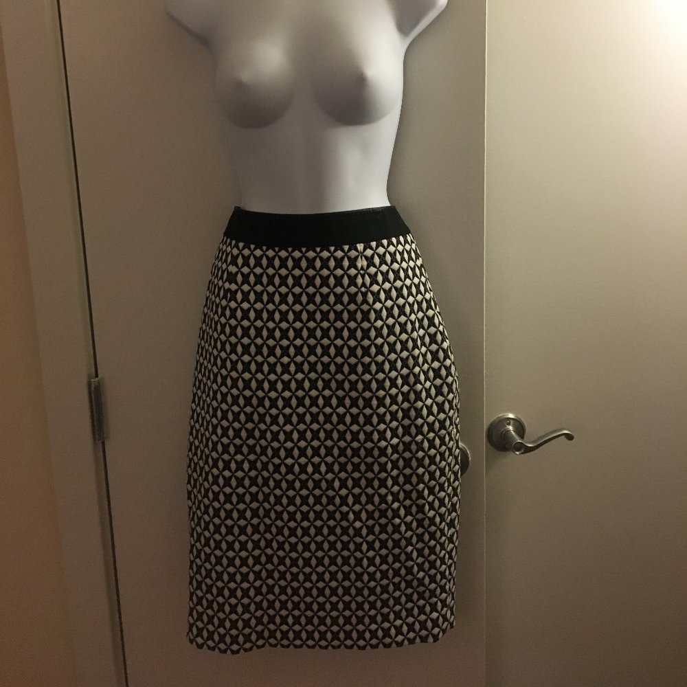 Pencil, patterned skirt